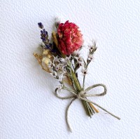 IMG_4816 2.jpg